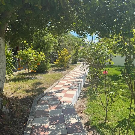 Koala Place فاسيليكي المظهر الخارجي الصورة