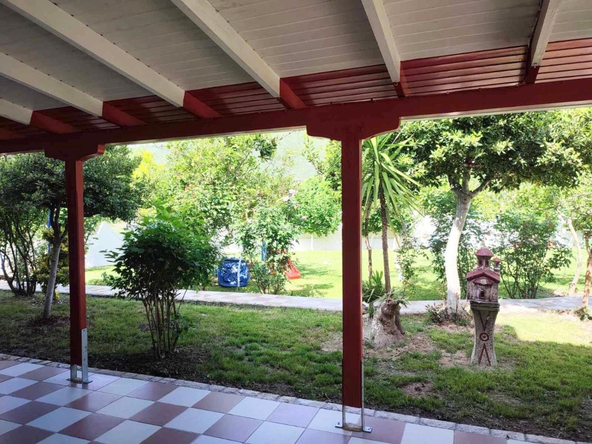 Koala Place فاسيليكي المظهر الخارجي الصورة